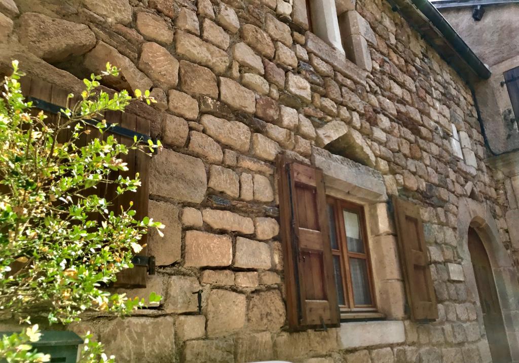 La Petite Maison Des Artistes Castelnau-Pégayrols Стая снимка