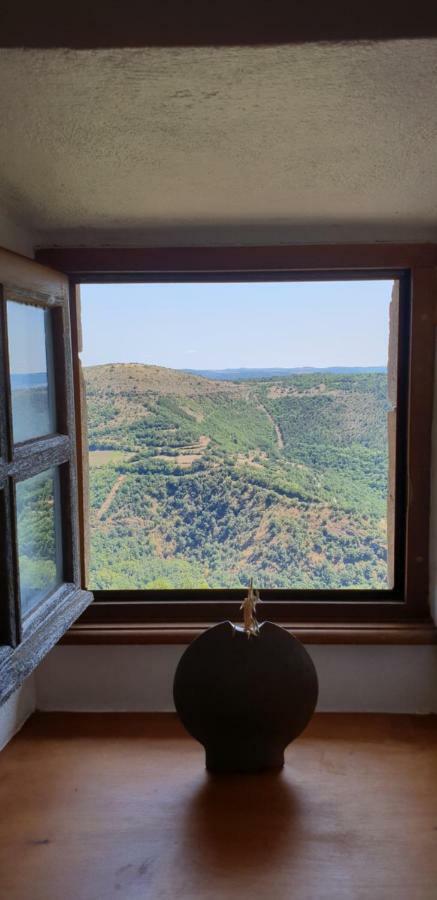 La Petite Maison Des Artistes Castelnau-Pégayrols Екстериор снимка